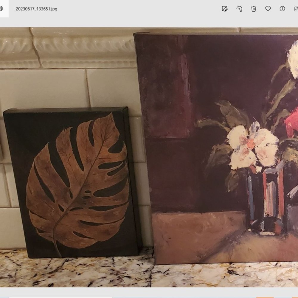 3 Canvas Decorative Wall Art Brown Background Vase Flowers Rainforest Leaf